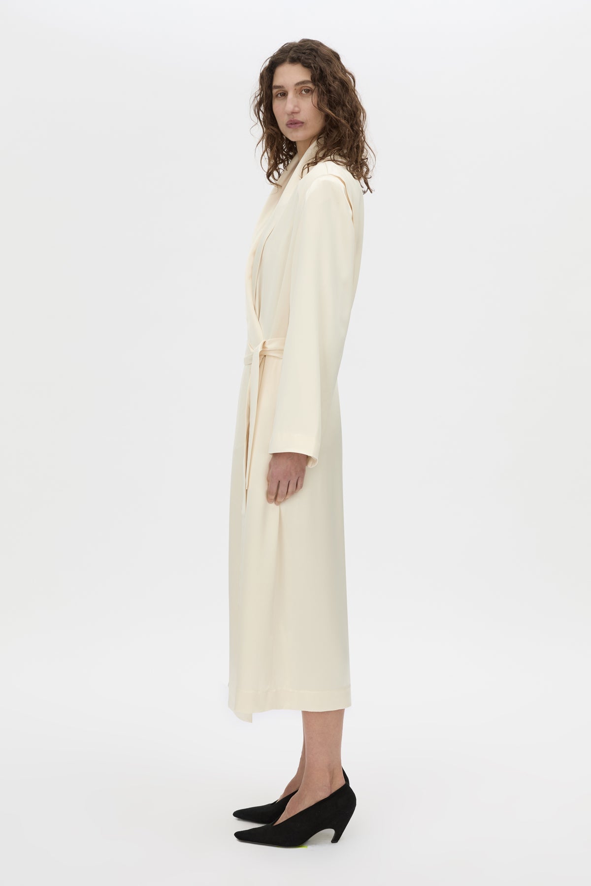 Arion Shawl Collar Dress