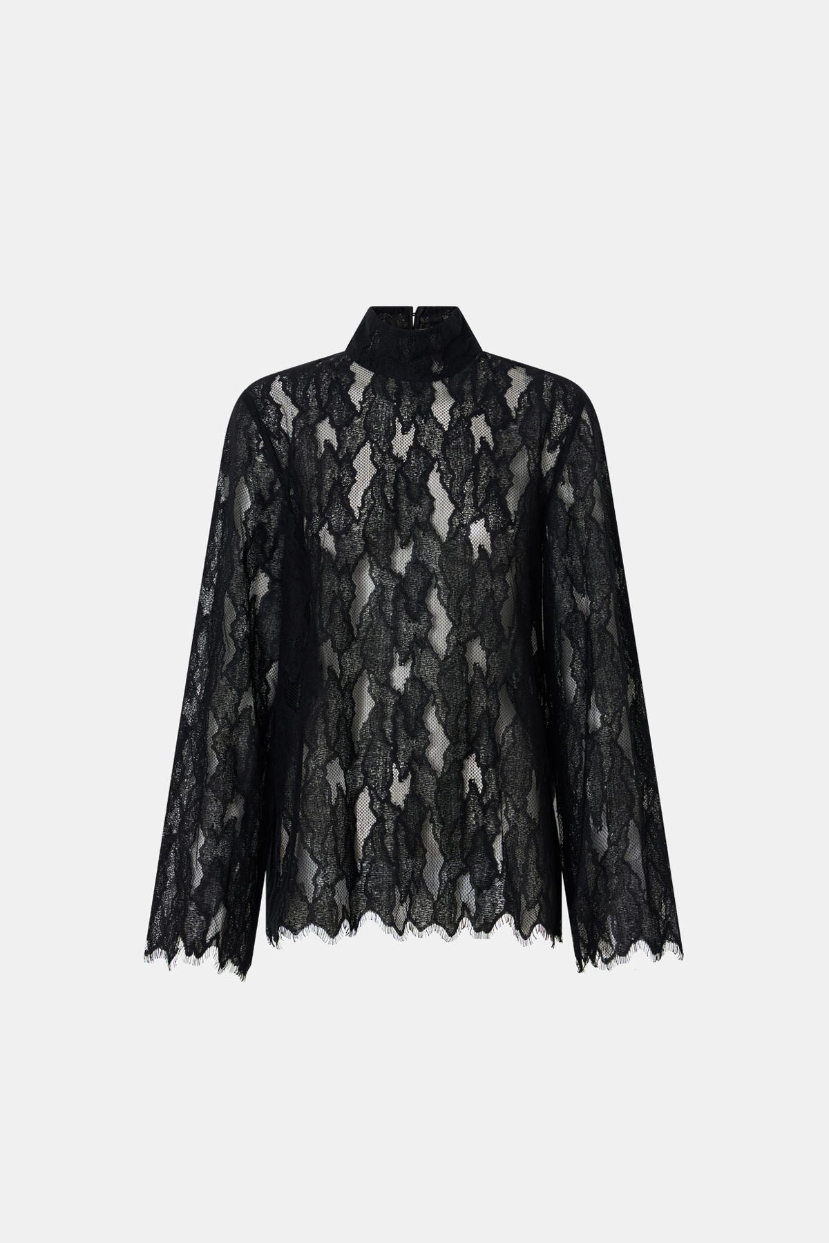 Ghost view CAMILLA AND MARC Zemira Long Sleeve Lace Top in Black with sheer lace and high neckband.